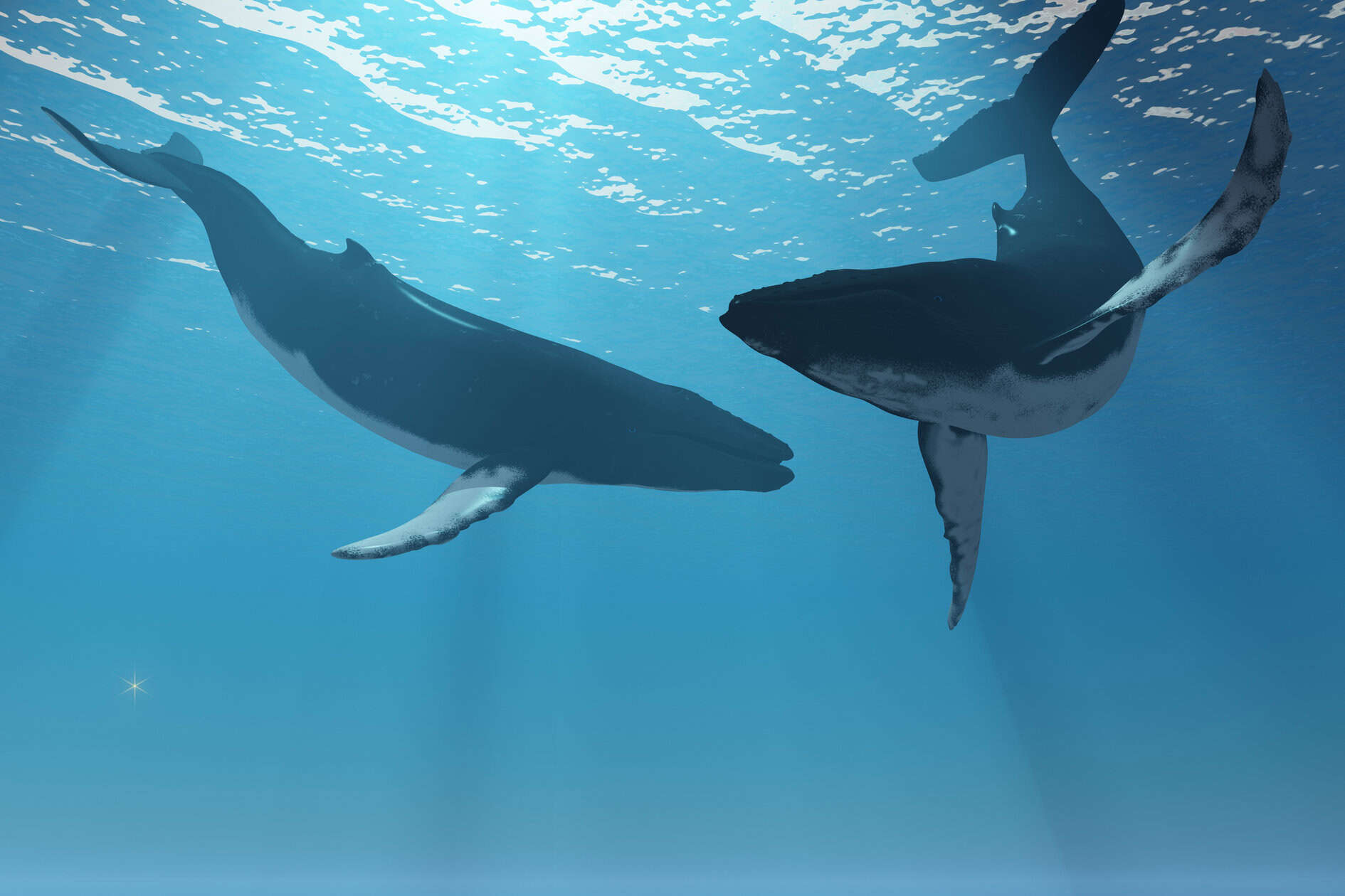 whale hunting culture