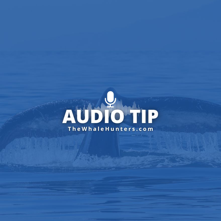 Audio Tips